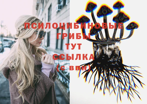 дживик Богородск
